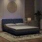 vidaXL Estructura cama con luces LED terciopelo gris oscuro 160x200 cm vidaXL Estructura cama con luces LED terciopelo gris oscuro 160x200 cm