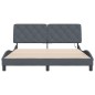 vidaXL Estructura cama con luces LED terciopelo gris oscuro 160x200 cm vidaXL Estructura cama con luces LED terciopelo gris oscuro 160x200 cm