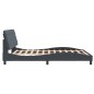 vidaXL Estructura cama con luces LED terciopelo gris oscuro 160x200 cm vidaXL Estructura cama con luces LED terciopelo gris oscuro 160x200 cm