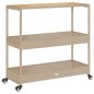 vidaXL Carrito de bar 3 niveles ratán PE y madera maciza acacia beige vidaXL Carrito de bar 3 niveles ratán PE y madera maciza acacia beige