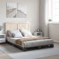 vidaXL Estructura de cama con cabecero madera pino gris 160x200 cm vidaXL Estructura de cama con cabecero madera pino gris 160x200 cm