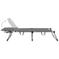 vidaXL Tumbona plegable alta para mayores aluminio gris vidaXL Tumbona plegable alta para mayores aluminio gris