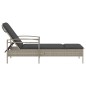 vidaXL Tumbona con cojín ratán sintético gris claro 63x200x81 cm vidaXL Tumbona con cojín ratán sintético gris claro 63x200x81 cm