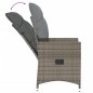 vidaXL Sillones reclinable jardín y cojines 2 uds ratán sintético gris vidaXL Sillones reclinable jardín y cojines 2 uds ratán sintético gris