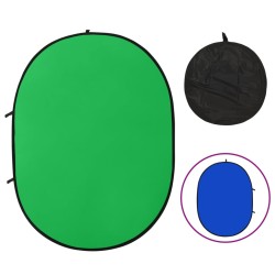 vidaXL Fondo estudio fotografía ovalado 2 en 1 verde y azul 200x150 cm