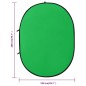 vidaXL Fondo estudio fotografía ovalado 2 en 1 verde y azul 200x150 cm vidaXL Fondo estudio fotografía ovalado 2 en 1 verde y azul 200x150 cm