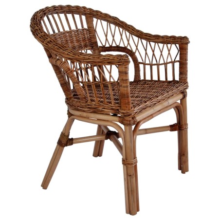 vidaXL Silla de jardín ratán natural marrón