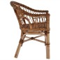 vidaXL Silla de jardín ratán natural marrón vidaXL Silla de jardín ratán natural marrón