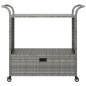 vidaXL Carrito de bar con cajón ratán sintético gris 100x45x97 cm vidaXL Carrito de bar con cajón ratán sintético gris 100x45x97 cm