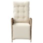 vidaXL Sillón reclinable de jardín con reposapiés ratán PE beige vidaXL Sillón reclinable de jardín con reposapiés ratán PE beige