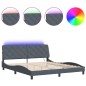 vidaXL Estructura cama con luces LED terciopelo gris oscuro 180x200 cm