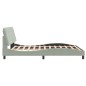 vidaXL Estructura cama con luces LED terciopelo gris claro 160x200 cm vidaXL Estructura cama con luces LED terciopelo gris claro 160x200 cm