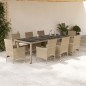 vidaXL Set comedor jardín 9 pzas cojines ratán sintético vidrio beige vidaXL Set comedor jardín 9 pzas cojines ratán sintético vidrio beige