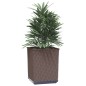 vidaXL Jardineras 2 unidades polipropileno marrón 30x30x37 cm vidaXL Jardineras 2 unidades polipropileno marrón 30x30x37 cm