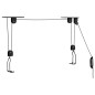 vidaXL Elevadores de bicicletas con montaje en techo 2 unidades 20 kg vidaXL Elevadores de bicicletas con montaje en techo 2 unidades 20 kg