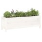 vidaXL Arriate elevado de jardín madera de pino blanco 119,5x40x39 cm vidaXL Arriate elevado de jardín madera de pino blanco 119,5x40x39 cm