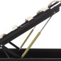 vidaXL Cama canapé hidráulica con LED cuero sintético negra 180x200 cm vidaXL Cama canapé hidráulica con LED cuero sintético negra 180x200 cm