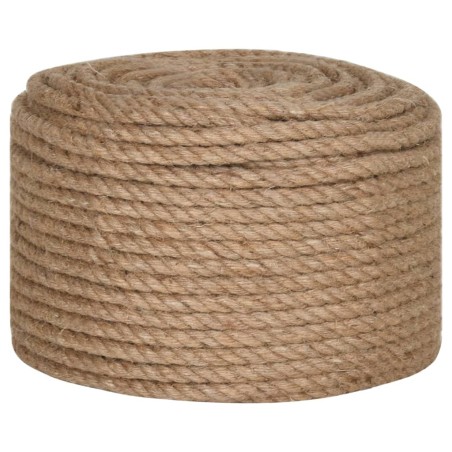vidaXL Cuerda 100% yute 10 mm 250 m