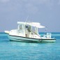 vidaXL Toldo T-Top extensión blanco 174x205x(115-194) cm