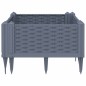 vidaXL Jardinera con clavijas PP gris 42,5x42,5x28,5 cm vidaXL Jardinera con clavijas PP gris 42,5x42,5x28,5 cm