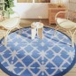vidaXL Alfombra de exterior PP azul y blanco Ø200 cm vidaXL Alfombra de exterior PP azul y blanco Ø200 cm