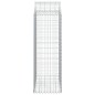 vidaXL Cesta gaviones forma arco hierro galvanizado 100x50x140/160 cm vidaXL Cesta gaviones forma arco hierro galvanizado 100x50x140/160 cm