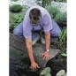 Ubbink Revestimiento piedra para estanques Classic 5x0,4m gris 1331001