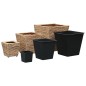 vidaXL Conjunto de arriates 3 piezas jacinto de agua vidaXL Conjunto de arriates 3 piezas jacinto de agua