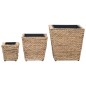 vidaXL Conjunto de arriates 3 piezas jacinto de agua vidaXL Conjunto de arriates 3 piezas jacinto de agua