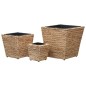 vidaXL Conjunto de arriates 3 piezas jacinto de agua vidaXL Conjunto de arriates 3 piezas jacinto de agua