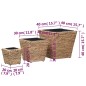 vidaXL Conjunto de arriates 3 piezas jacinto de agua vidaXL Conjunto de arriates 3 piezas jacinto de agua