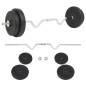 vidaXL Set de pesas 30 kg vidaXL Set de pesas 30 kg