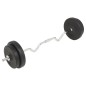 vidaXL Set de pesas 30 kg vidaXL Set de pesas 30 kg