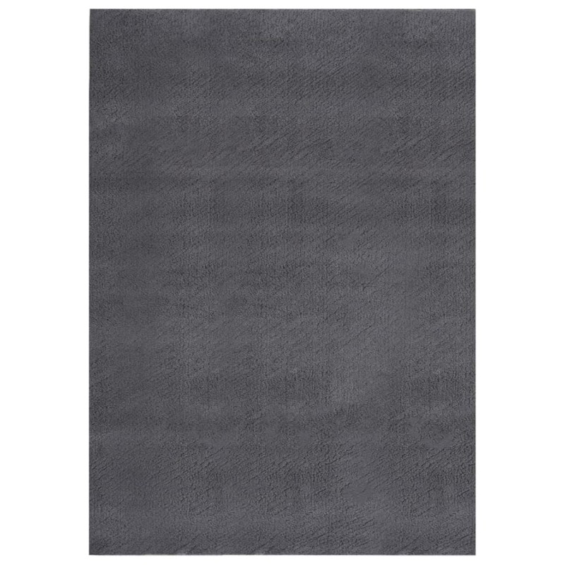 vidaXL Alfombra pelo corto blando suave lavable antracita 160x230 cm vidaXL Alfombra pelo corto blando suave lavable antracita 160x230 cm