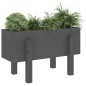 vidaXL Jardinera madera maciza de pino gris 62x30x38 cm vidaXL Jardinera madera maciza de pino gris 62x30x38 cm