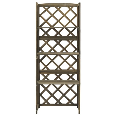 vidaXL Enrejado con estantes madera maciza de abeto gris 55x30x140 cm