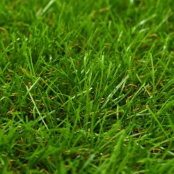 vidaXL Césped artificial verde 1x5 m/30 mm