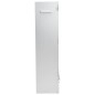 vidaXL Horno ahumador astillas madera acero galvanizado 44,5x29x110 cm