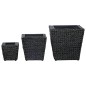 vidaXL Conjunto de arriates 3 piezas jacinto de agua negro vidaXL Conjunto de arriates 3 piezas jacinto de agua negro