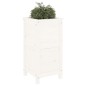 vidaXL Jardinera madera maciza de pino blanco 40x40x78 cm vidaXL Jardinera madera maciza de pino blanco 40x40x78 cm