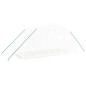 vidaXL Invernadero con estructura de acero blanco 8 m² 4x2x2 m vidaXL Invernadero con estructura de acero blanco 8 m² 4x2x2 m