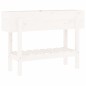 vidaXL Arriate elevado de jardín madera maciza pino blanco 101x30x69cm vidaXL Arriate elevado de jardín madera maciza pino blanco 101x30x69cm
