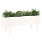 vidaXL Arriate elevado de jardín madera maciza pino blanco 101x30x38cm vidaXL Arriate elevado de jardín madera maciza pino blanco 101x30x38cm