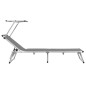 vidaXL Tumbonas plegables con techo 2 uds aluminio y textilene gris vidaXL Tumbonas plegables con techo 2 uds aluminio y textilene gris