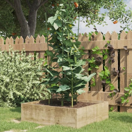 vidaXL Soportes plantas jardín con 3 anillas 5 uds acero verde 75 cm
