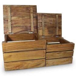 vidaXL Set de 2 cajas de almacenaje de madera maciza reciclada