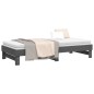 vidaXL Sofá cama extraíble madera maciza de pino gris 2x(80x200) cm vidaXL Sofá cama extraíble madera maciza de pino gris 2x(80x200) cm