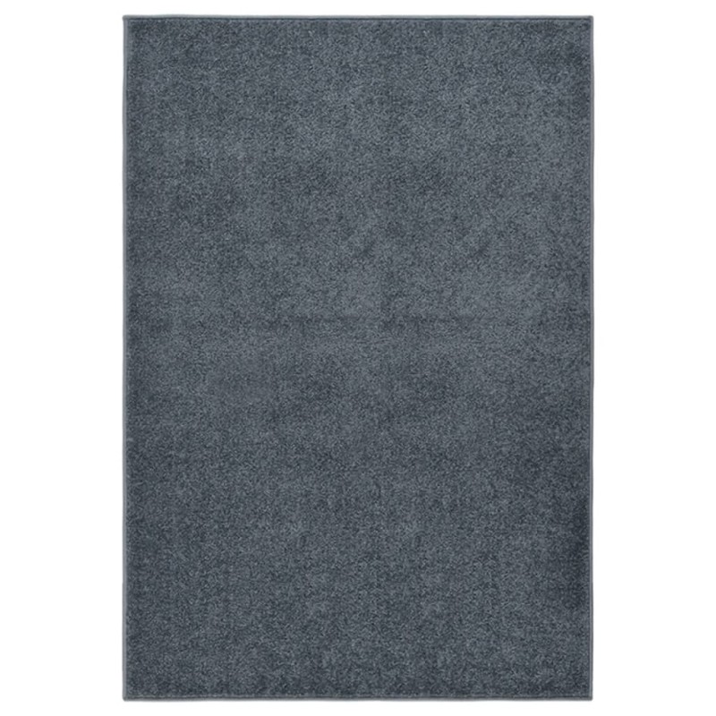 vidaXL Alfombra de pelo corto gris antracita 160x230 cm vidaXL Alfombra de pelo corto gris antracita 160x230 cm