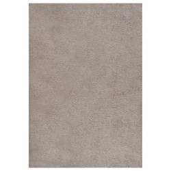 vidaXL Alfombra de pelo largo beige 160x230 cm