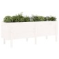 vidaXL Arriate elevado de jardín madera maciza pino blanco 160x50x57cm vidaXL Arriate elevado de jardín madera maciza pino blanco 160x50x57cm